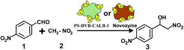 Graphical abstract: Tuning lipase B from Candida antarctica C–C bond promiscuous activity by immobilization on poly-styrene-divinylbenzene beads