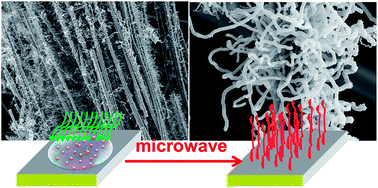 Graphical abstract: An ultrafast microwave approach towards multi-component and multi-dimensional nanomaterials