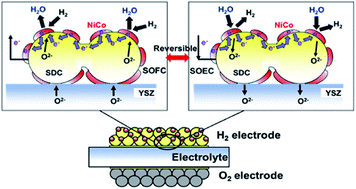Graphical abstract: High-performance electrodes for reversible solid oxide fuel cell/solid oxide electrolysis cell: Ni–Co dispersed ceria hydrogen electrodes