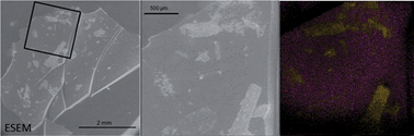 Graphical abstract: Characterization of hydroxyapatite deposition on biomimetic polyphosphazenes by time-of-flight secondary ion mass spectrometry (ToF-SIMS)