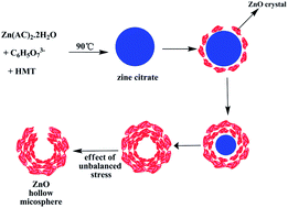 Graphical abstract: Time-dependent control of phase and morphology transformation of porous ZnO hollow microspheres by a facile one-step solution route