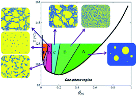 Graphical abstract: Anomalous phase separation behavior in dynamically asymmetric LCST polymer blends