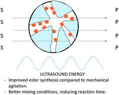 Graphical abstract: Ultrasound technology and molecular sieves improve the thermodynamically controlled esterification of butyric acid mediated by immobilized lipase from Rhizomucor miehei