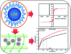 Graphical abstract: Colloidal stability of polyethylene glycol functionalized Co0.5Zn0.5Fe2O4 nanoparticles: effect of pH, sample and salt concentration for hyperthermia application