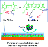 Graphical abstract: Synthesis and characterization of zwitterionic peptides derived from natural amino acids and their resistance to protein adsorption
