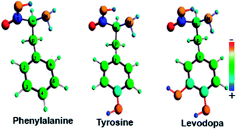 Graphical abstract: From building blocks of proteins to drugs: a quantum chemical study on structure–property relationships of phenylalanine, tyrosine and dopa