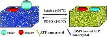 Graphical abstract: Robust and all-inorganic absorbent based on natural clay nanocrystals with tunable surface wettability for separation and selective absorption