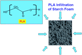 Graphical abstract: Starch/fiber/poly(lactic acid) foam and compressed foam composites