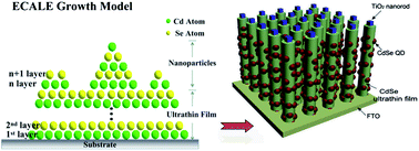 Graphical abstract: Epitaxial growth of successive CdSe ultrathin films and quantum dot layers on TiO2 nanorod arrays for photo-electrochemical cells