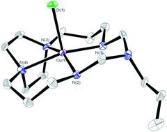 Graphical abstract: One-pot synthesis, characterisation and kinetic stability of novel side-bridged pentaazamacrocyclic copper(ii) complexes