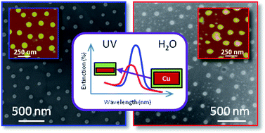 Graphical abstract: Oxidation of copper nanoparticles in water monitored in situ by localized surface plasmon resonance spectroscopy