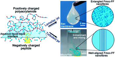 Graphical abstract: Jet flow directed supramolecular self-assembly at aqueous liquid–liquid interface