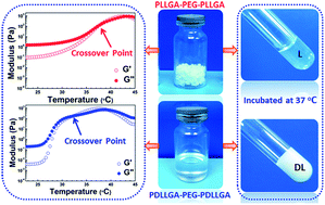 Graphical abstract: Effects of l-lactide and d,l-lactide in poly(lactide-co-glycolide)-poly(ethylene glycol)-poly(lactide-co-glycolide) on the bulk states of triblock copolymers, and their thermogellation and biodegradation in water