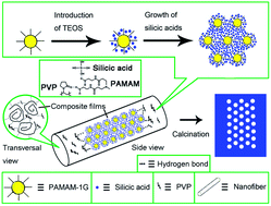 Graphical abstract: Preparation of mesoporous silica nanosheets through electrospinning: a novel scroll mechanism