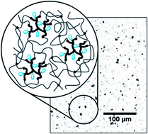 Graphical abstract: Visualisation and characterisation of heterogeneous bimodal PDMS networks