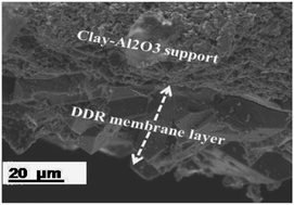 Graphical abstract: Sonication mediated hydrothermal process – an efficient method for the rapid synthesis of DDR zeolite membranes