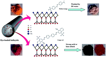 Graphical abstract: Selective desorption characteristics of halloysite nanotubes for anionic azo dyes