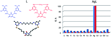 Graphical abstract: Metal binding properties of pyrimidinophanes and their acyclic counterparts