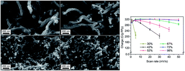 Graphical abstract: Tailoring porosities and electrochemical properties of composites composed of microfibrillated cellulose and polypyrrole