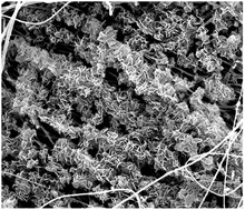Graphical abstract: Growing nano-petals on electrospun micro/nano fibers