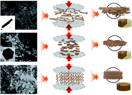 Graphical abstract: Effects of morphology on the thermoelectric properties of Al-doped ZnO