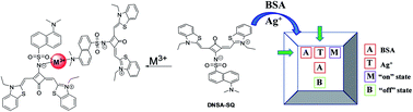 Graphical abstract: A near infrared fluorescent dye for trivalent ions sensing and working as a molecular keypad lock