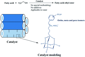 Graphical abstract: A study on the catalytic activity and theoretical modeling of a novel dual acidic mesoporous silica