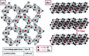 Graphical abstract: A comparative study of nanostructured α and δ MnO2 for lithium oxygen battery application