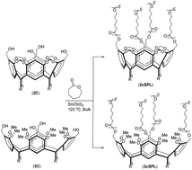 Graphical abstract: Influence of a resorcin[4]arene core structure on the spatial directionality of multi-arm poly(ε-caprolactone)s