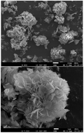 Graphical abstract: Electrochemical synthesis of flower shaped morphology MOFs in an ionic liquid system and their electrocatalytic application to the hydrogen evolution reaction