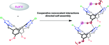 Graphical abstract: Designed self-assemblies based on cooperative noncovalent interactions including anion–π, lone-pair electron–π and hydrogen bonding