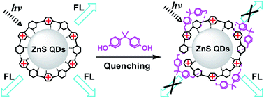 Graphical abstract: Facile synthesis of chitosan-capped ZnS quantum dots as an eco-friendly fluorescence sensor for rapid determination of bisphenol A in water and plastic samples