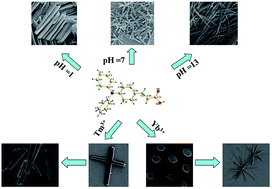 Graphical abstract: The self-aggregation of fluorophore-triphenylamine nanostructures with tunable luminescent properties: the effect of acidity and rare earth ions
