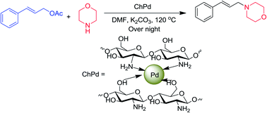 Graphical abstract: N-Allylation of amines with allyl acetates using chitosan-immobilized palladium