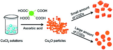 Graphical abstract: Controllable synthesis of two different morphologies of Cu2O particles with the assistance of carbon dots