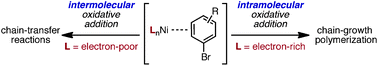 Graphical abstract: Evidence for a preferential intramolecular oxidative addition in Ni-catalyzed cross-coupling reactions and their impact on chain-growth polymerizations