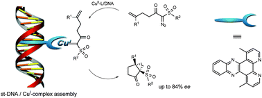 Graphical abstract: DNA-based asymmetric organometallic catalysis in water