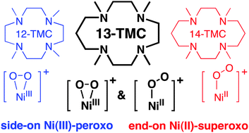 Graphical abstract: Mononuclear nickel(ii)-superoxo and nickel(iii)-peroxo complexes bearing a common macrocyclic TMC ligand