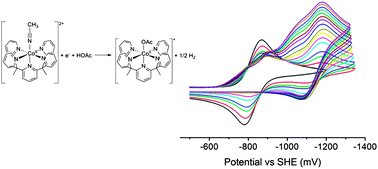 Graphical abstract: A mechanistic study of proton reduction catalyzed by a pentapyridine cobalt complex: evidence for involvement of an anation-based pathway