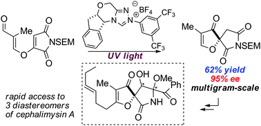 Graphical abstract: A photoisomerization-coupled asymmetric Stetter reaction: application to the total synthesis of three diastereomers of (−)-cephalimysin A