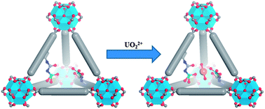 Graphical abstract: Highly porous and stable metal–organic frameworks for uranium extraction
