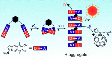 Graphical abstract: Enhanced photocurrent generation by folding-driven H-aggregate formation