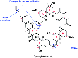 Graphical abstract: Synthesis of spongistatin 2 employing a new route to the EF fragment