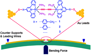 Graphical abstract: Electrical conductance study on 1,3-butadiyne-linked dinuclear ruthenium(ii) complexes within single molecule break junctions