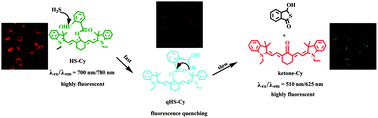 Graphical abstract: A near-infrared ratiometric fluorescent probe for rapid and highly sensitive imaging of endogenous hydrogen sulfide in living cells