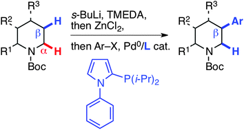 Graphical abstract: Ligand-controlled β-selective C(sp3)–H arylation of N-Boc-piperidines