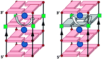 Graphical abstract: A “sugar-deficient” G-quadruplex: incorporation of aTNA in G4 structures