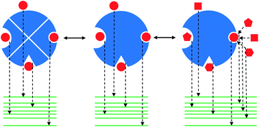 Graphical abstract: Thermodynamic and kinetic specificities of ligand binding