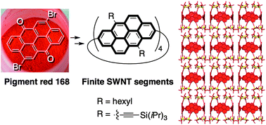 Graphical abstract: Bottom-up synthesis and structures of π-lengthened tubular macrocycles