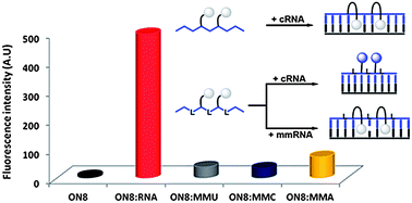 Graphical abstract: DNA strands with alternating incorporations of LNA and 2′-O-(pyren-1-yl)methyluridine: SNP-discriminating RNA detection probes